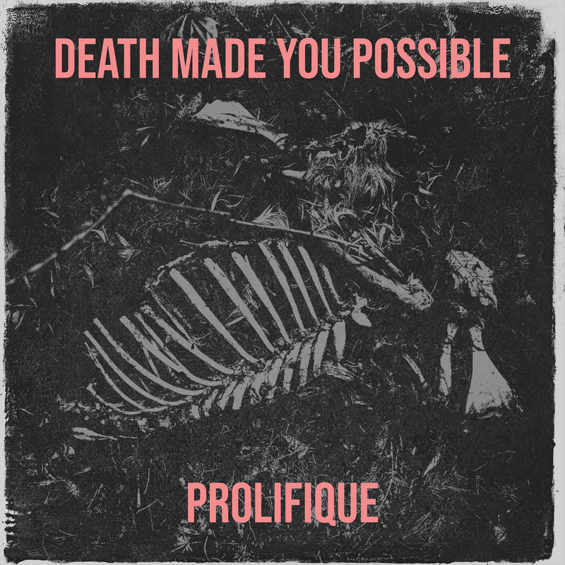 DeathMadeYouPossible封面