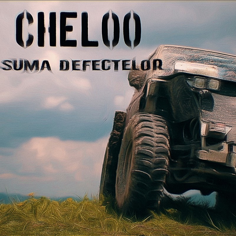 SumaDefectelor封面