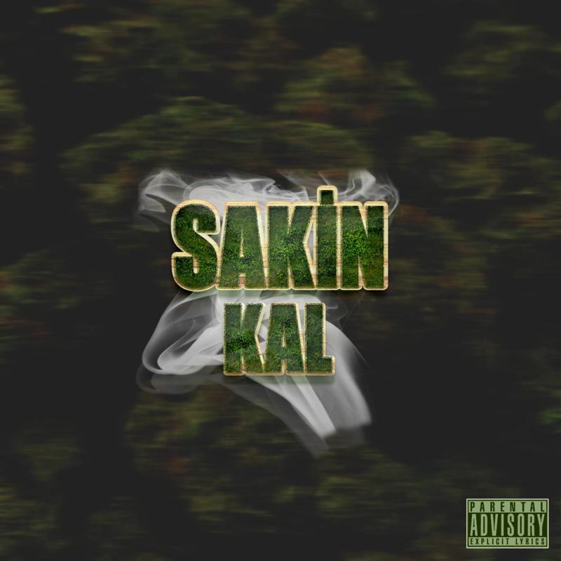 SakinKal封面