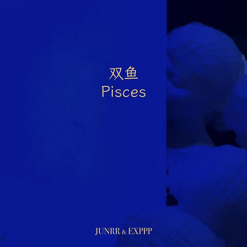 双鱼Pisces封面