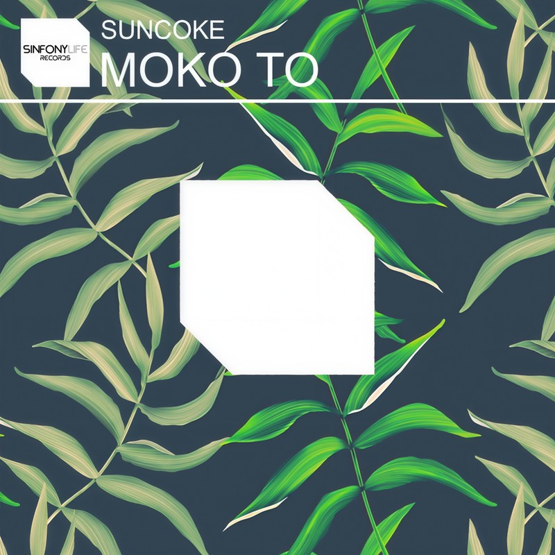 MokoTo封面