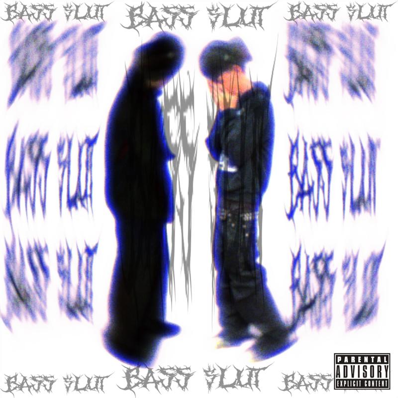 BASS$LUT封面