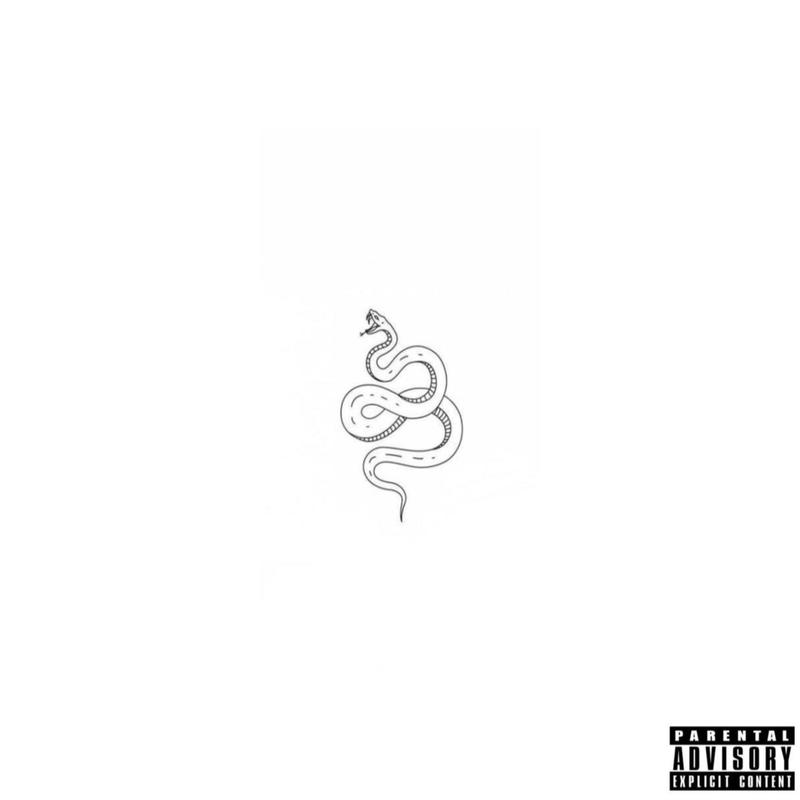 snake封面