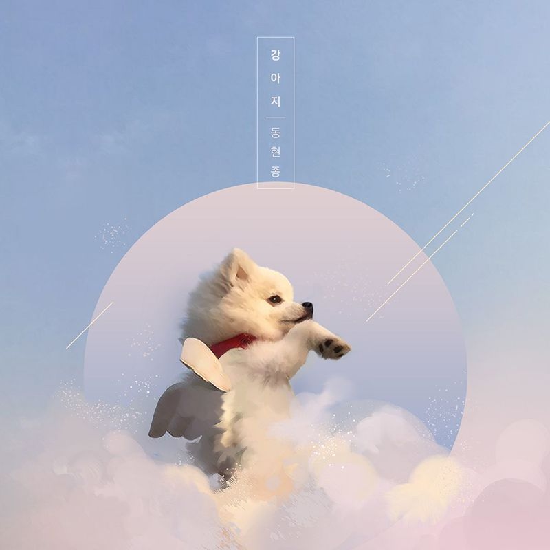 강아지封面