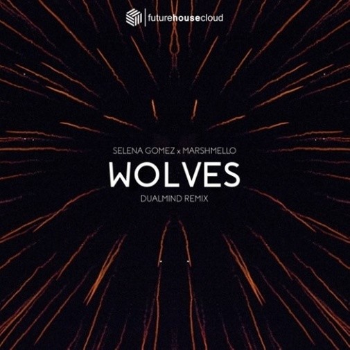 Wolves(DualmindRemix)封面
