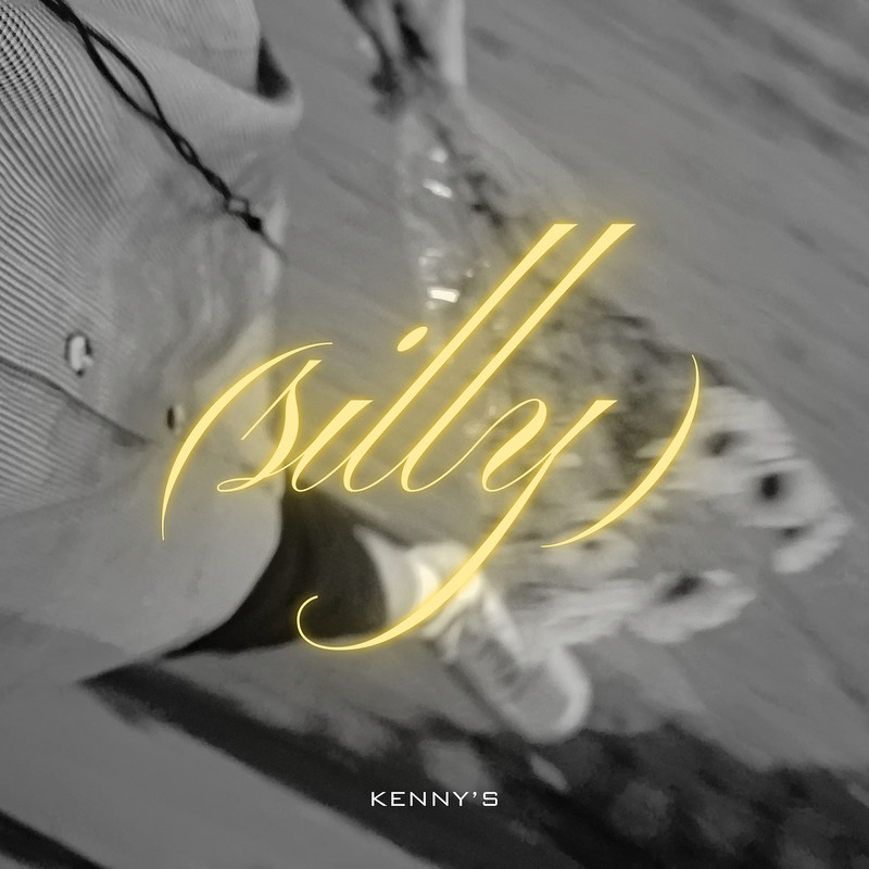 Silly封面