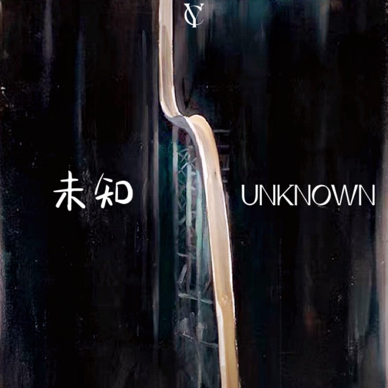 未知UNKNOWN封面