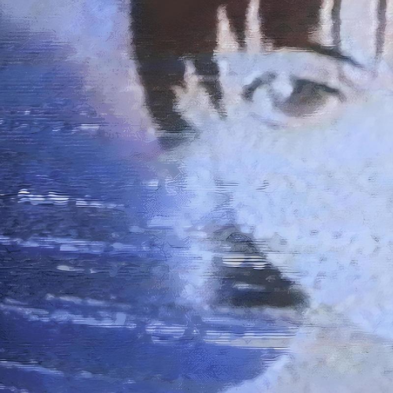 dysphoria封面