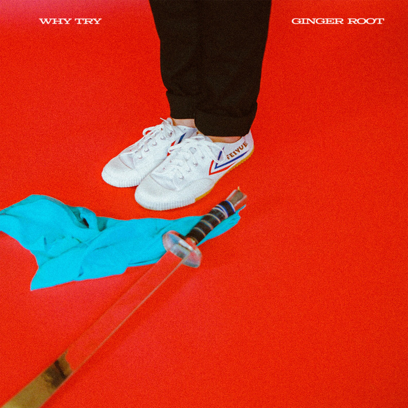 WhyTry封面