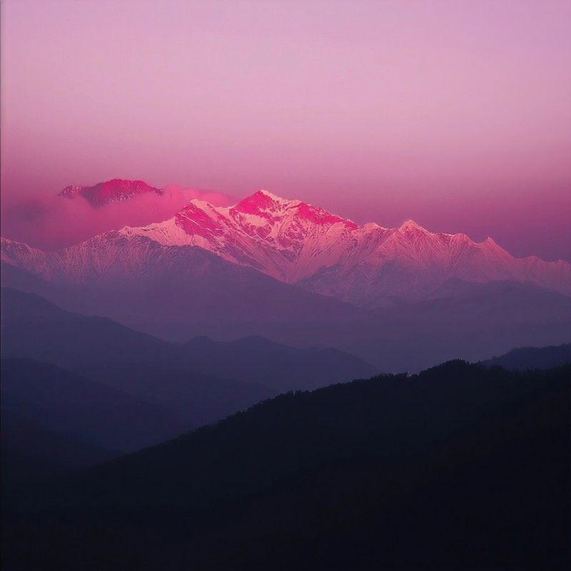 CheckItOut(切克闹)封面