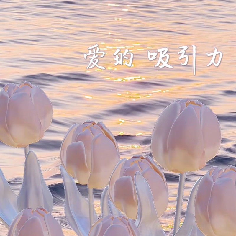 爱的吸引力封面