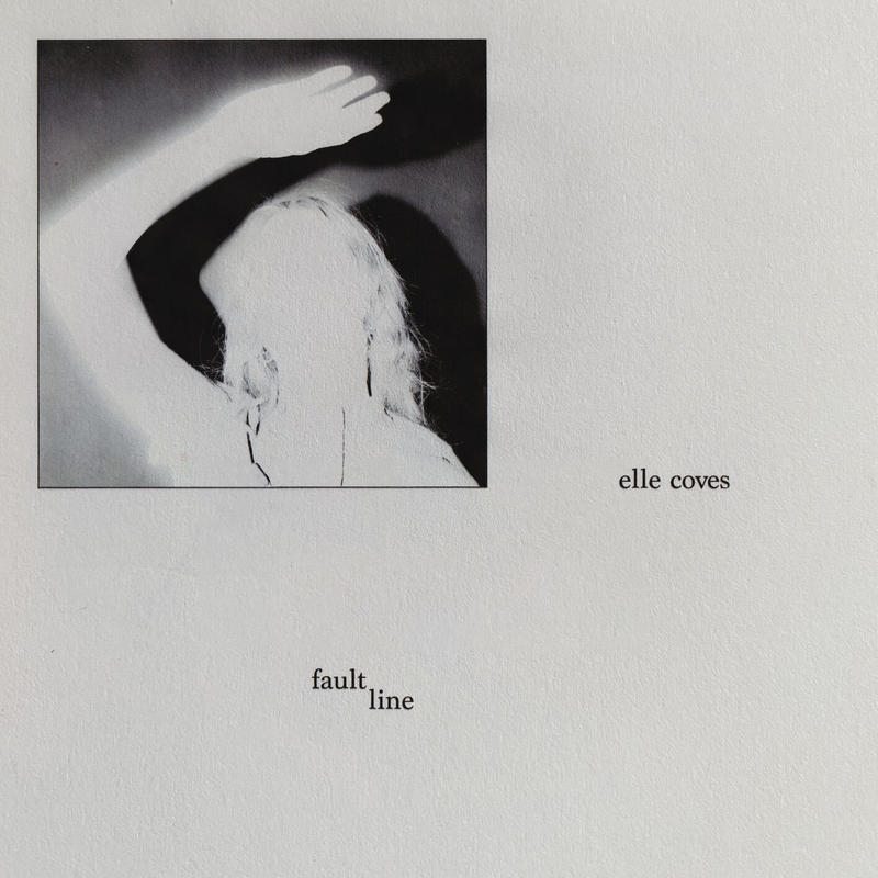 FaultLine封面