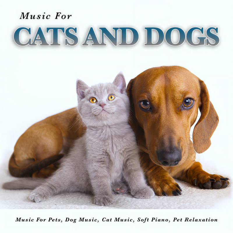 CalmDogandCatMusic封面
