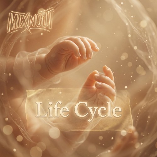 LifeCycle封面