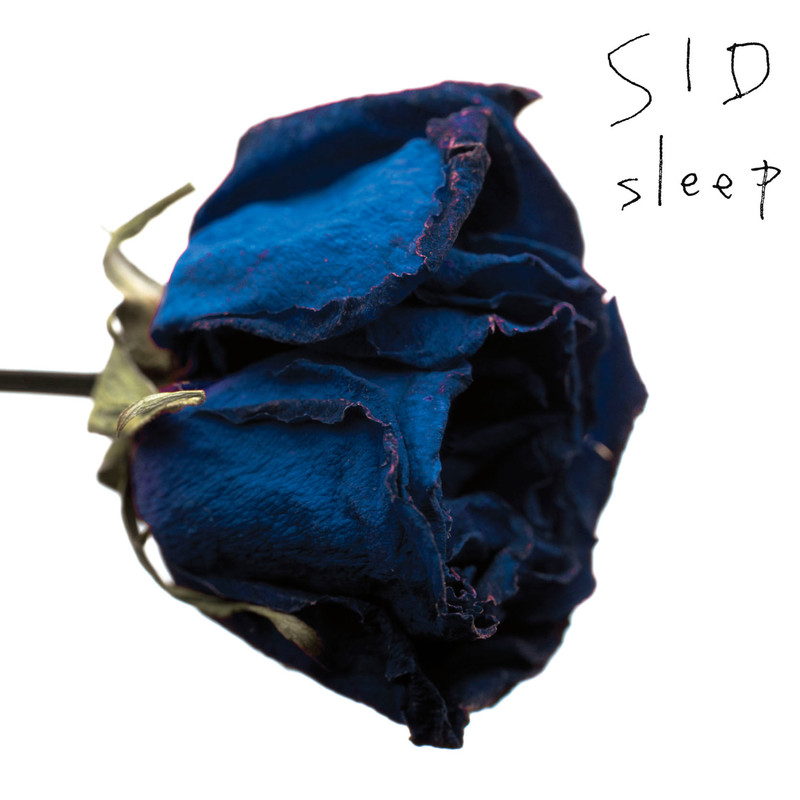 sleep封面