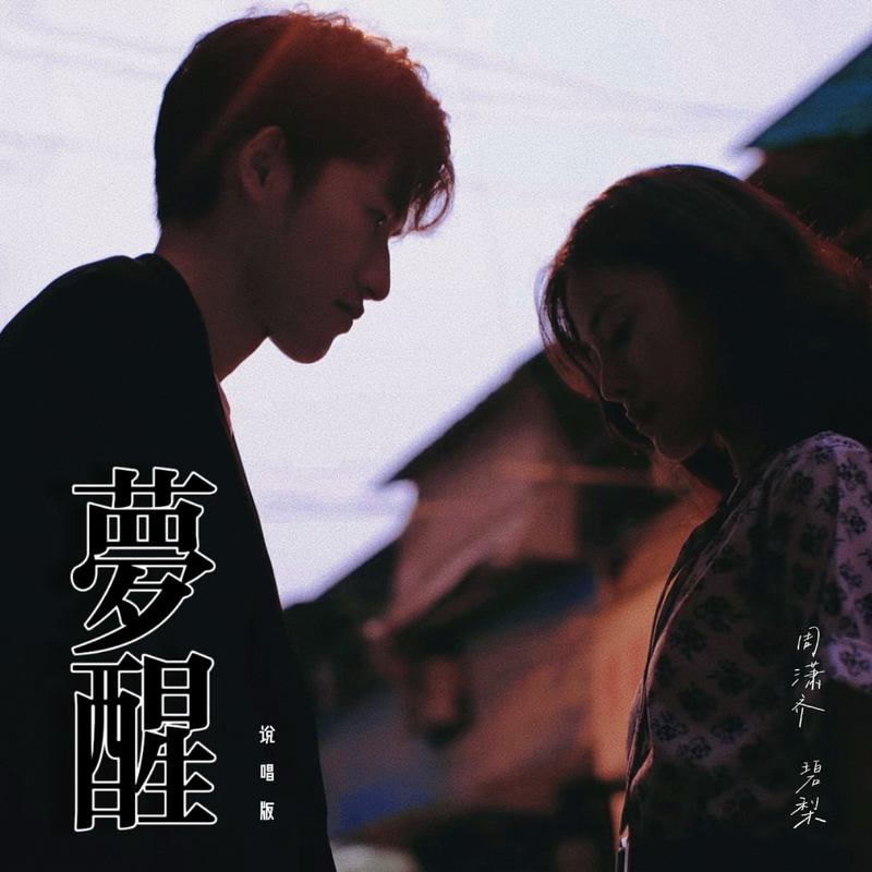 梦醒封面
