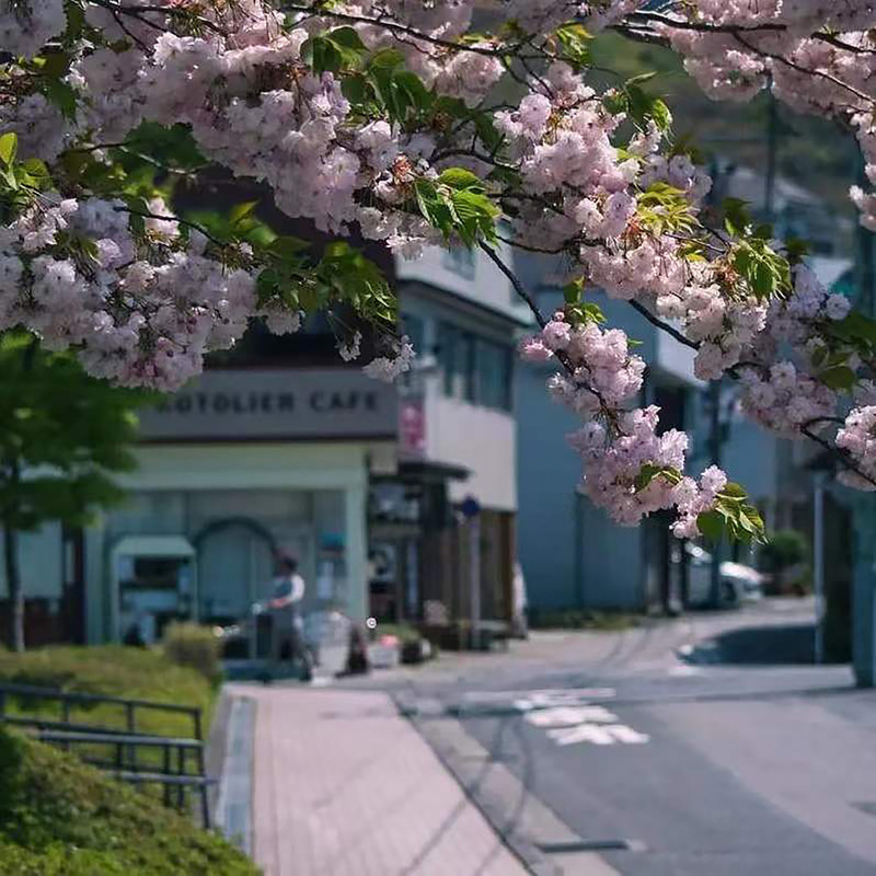 ❀封面
