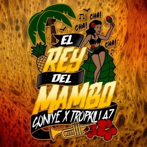 ReyDelMambo封面