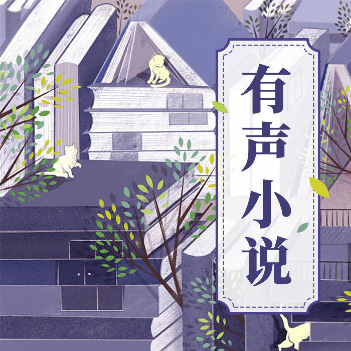 第1集真实的系统封面