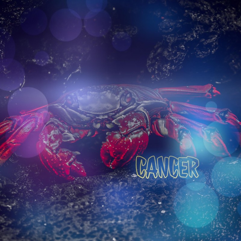 Cancer封面