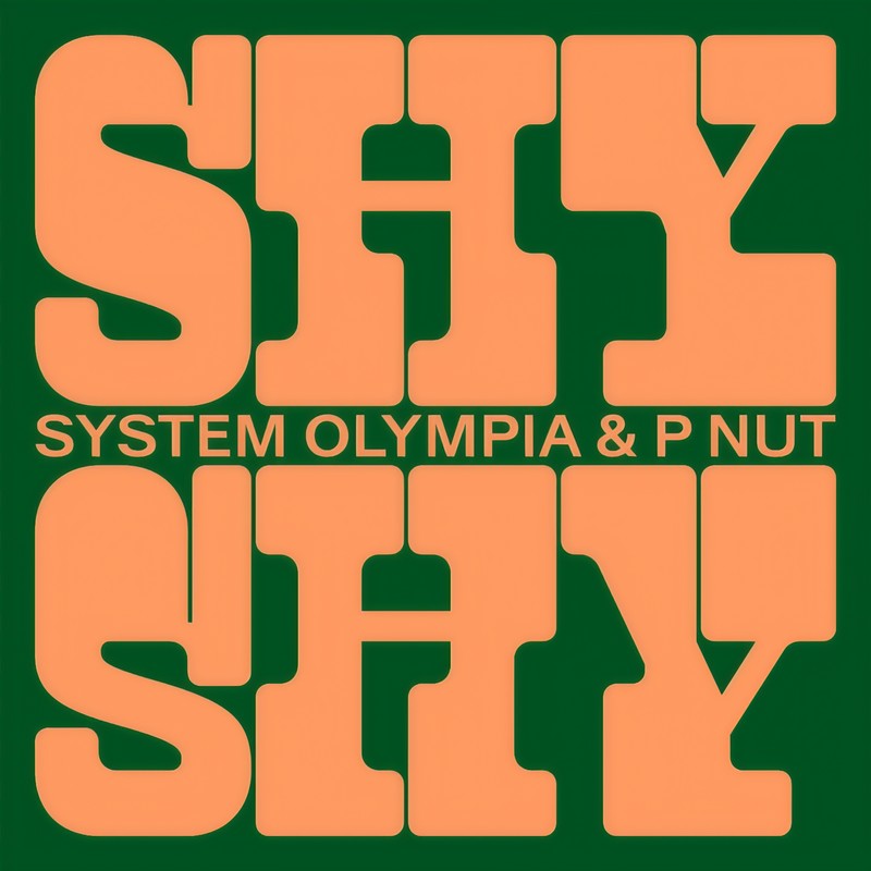 ShyShy封面