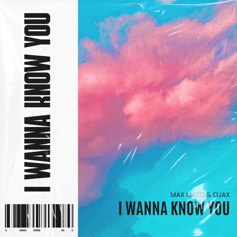 IWannaKnowYou封面