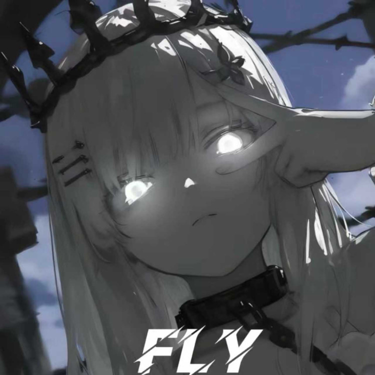 Fly封面