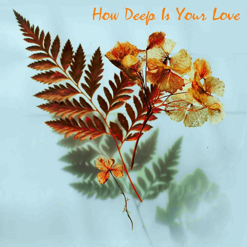 HowDeepIsYourLove封面