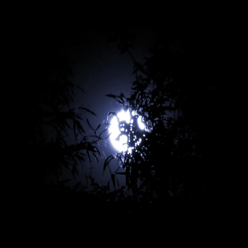 Wharf封面