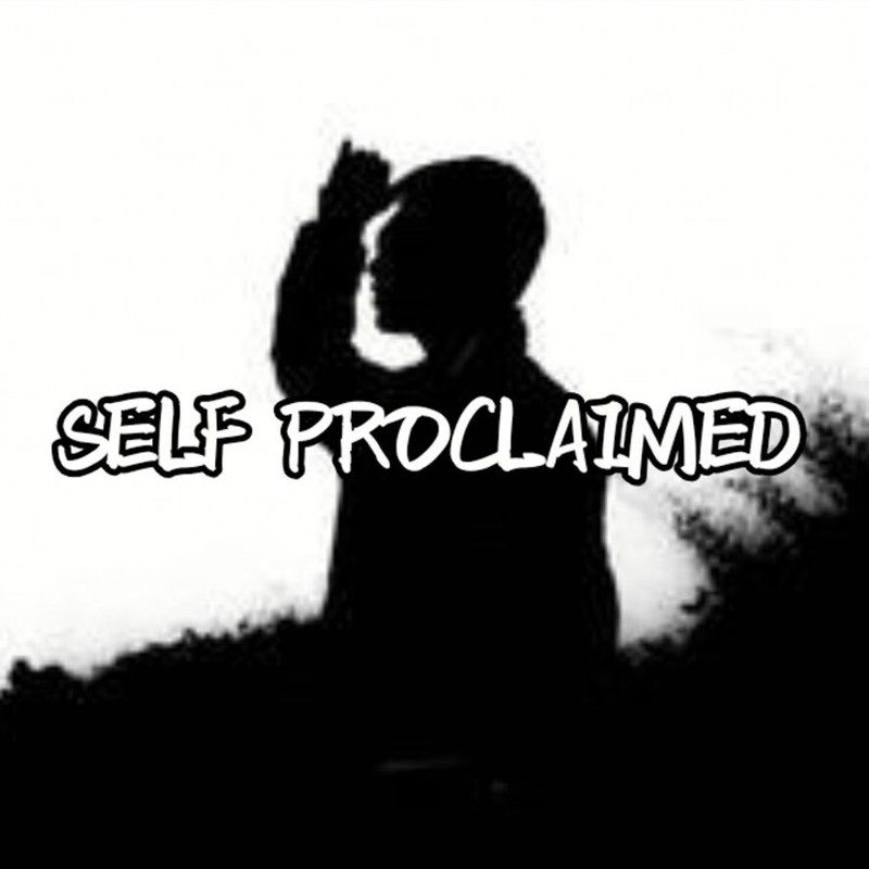 SelfProclaimedPartIII封面