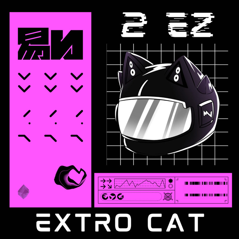2EZ封面
