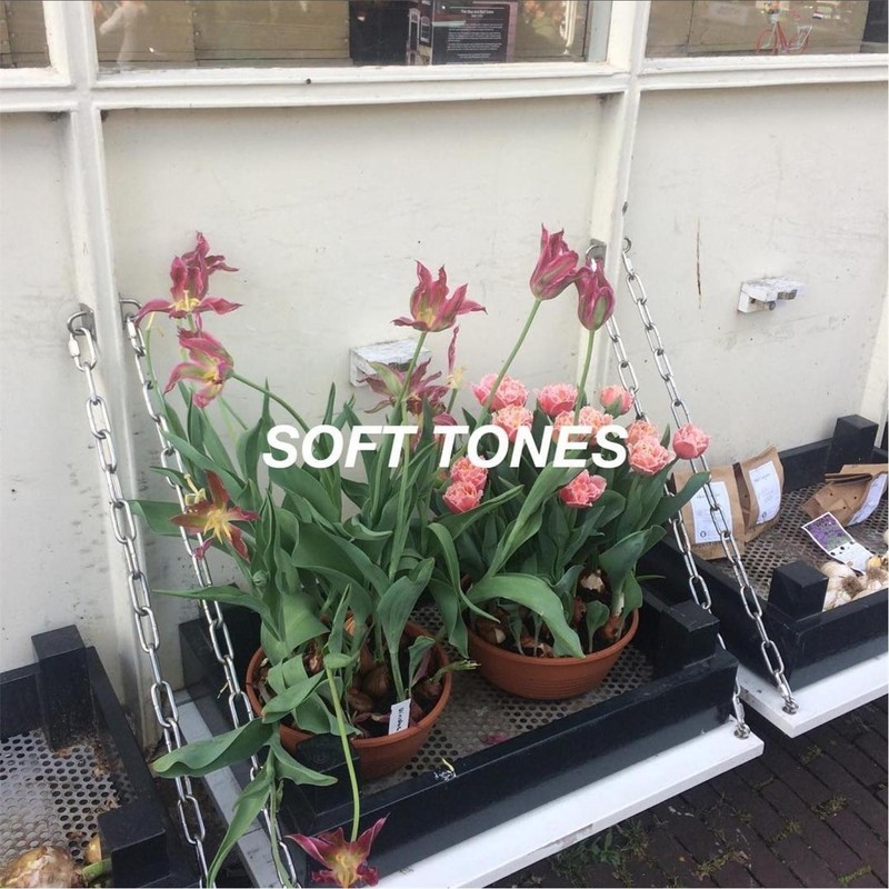 SoftTones封面