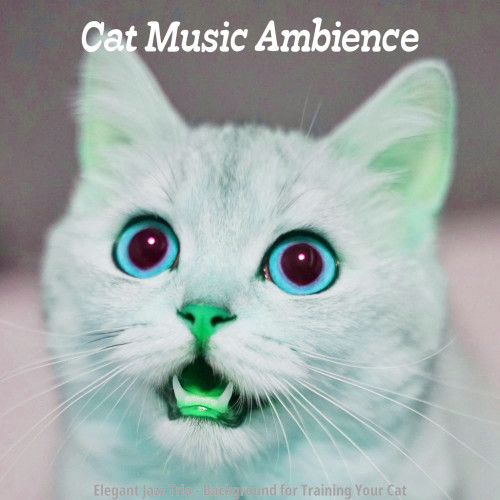 MellowCats封面
