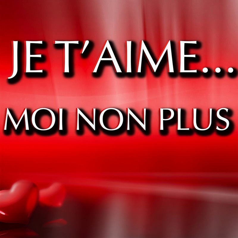 Jet'aime...Moinonplus封面