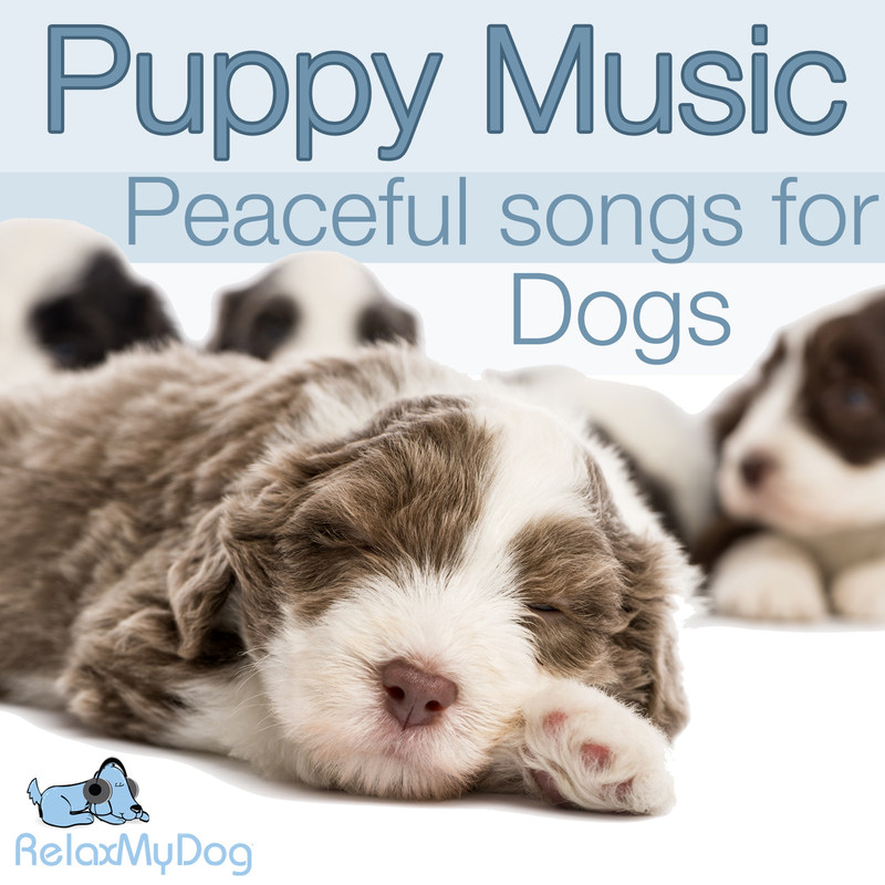 RelaxMyDogMusic封面