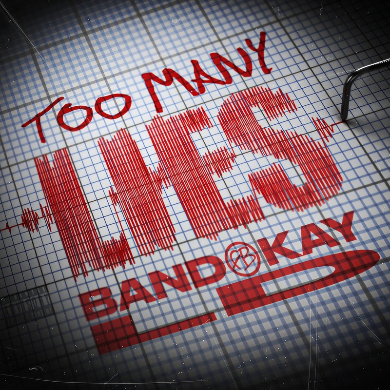 TooManyLies封面
