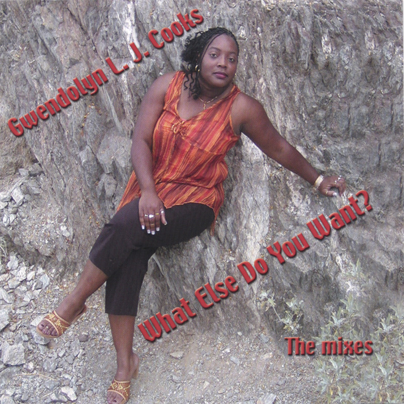 WhatElseDoYouWantOriginalAlbumVersionMix封面