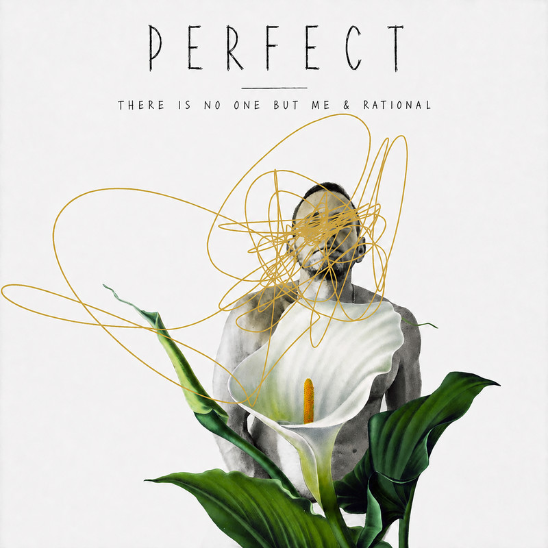 PERFECT封面