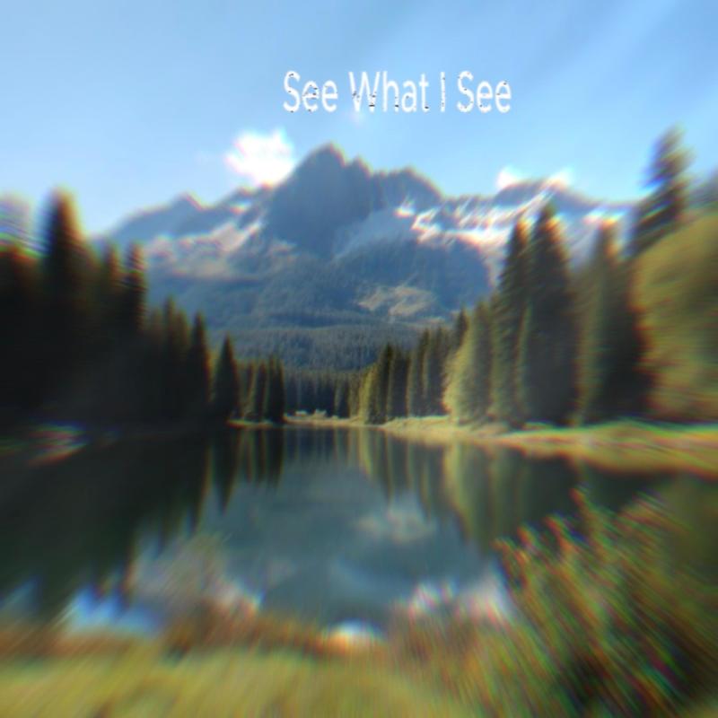 SeeWhatiSee封面