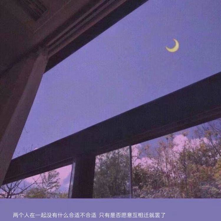 夏天的风封面