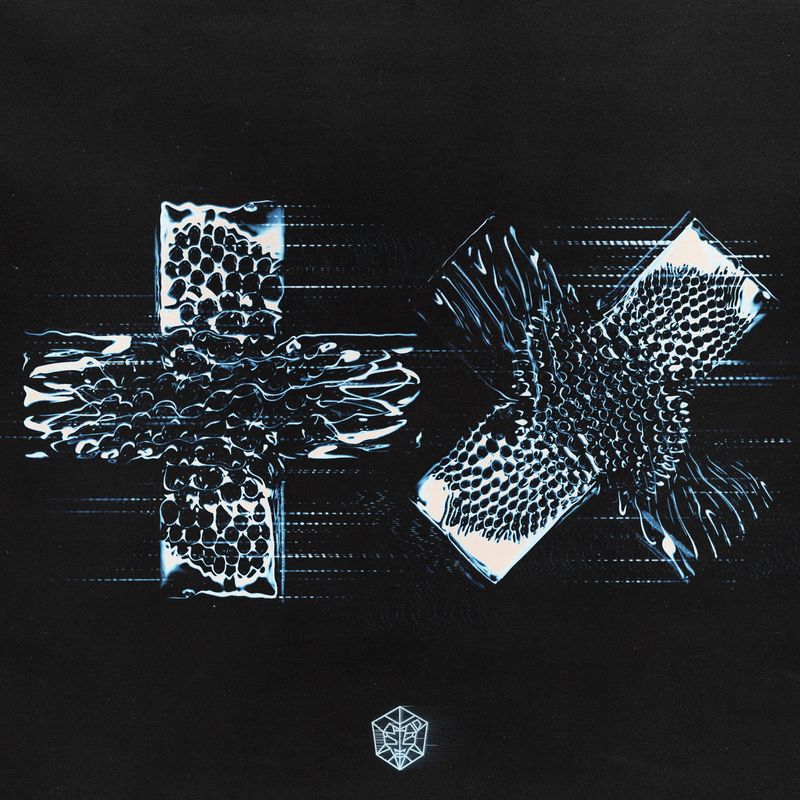 Quantum封面