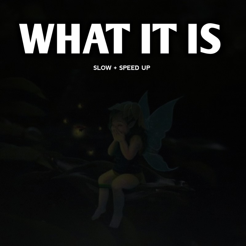 WhatItIs封面