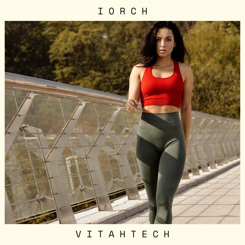 Iorch封面