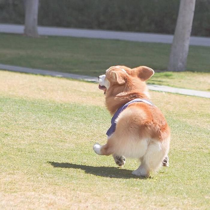 SmallStream封面