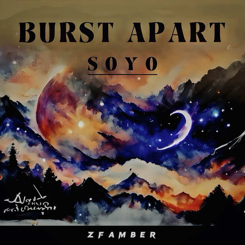 BURSTAPART封面