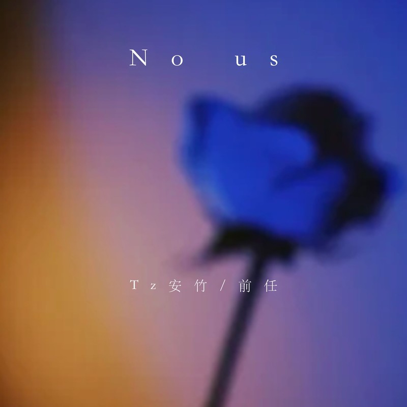 Nous封面