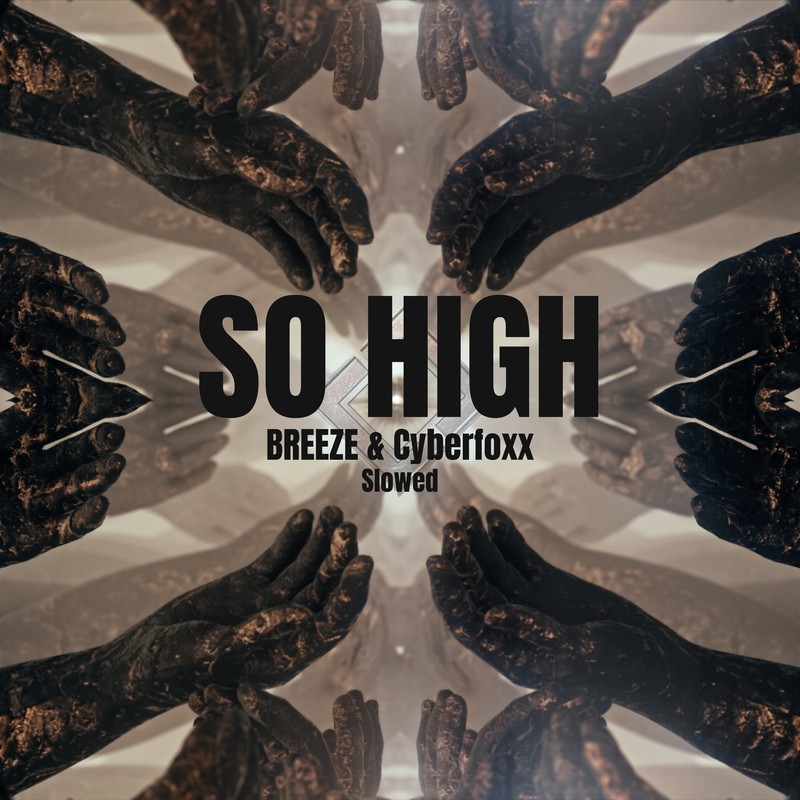 SoHigh(Slowed)封面