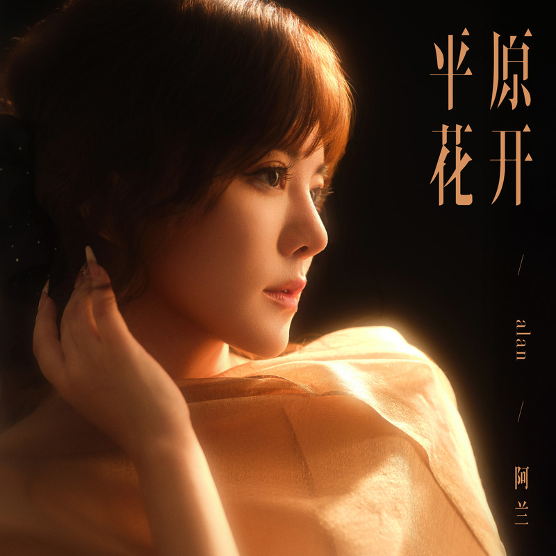 平原花开封面