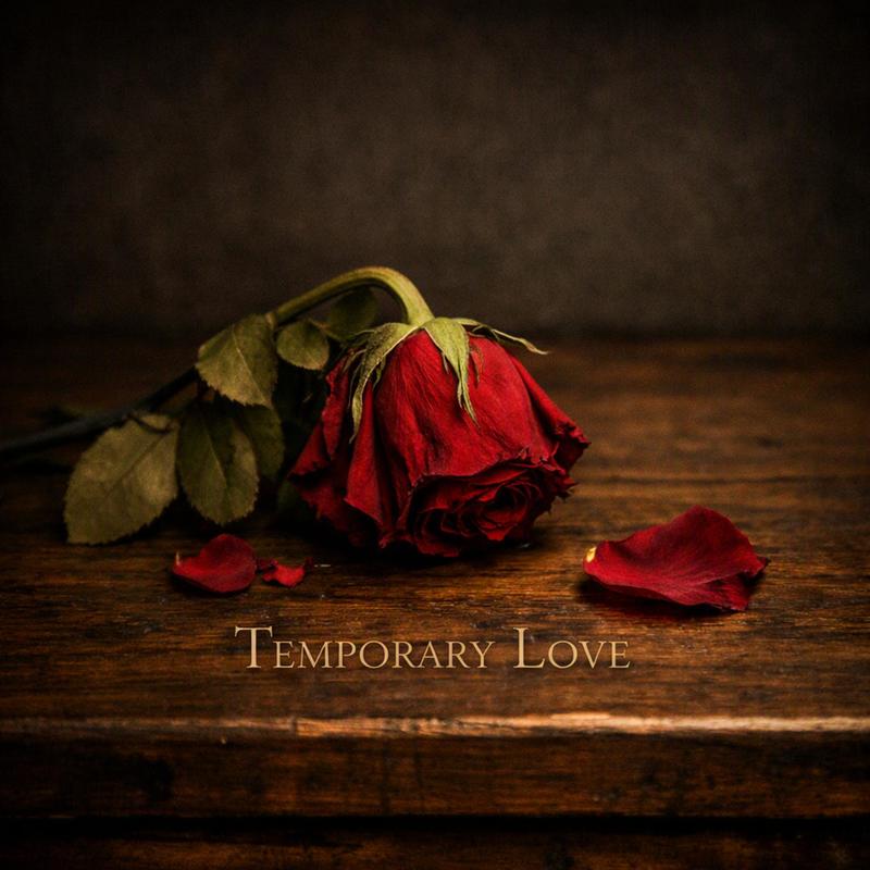 TemporaryLove封面
