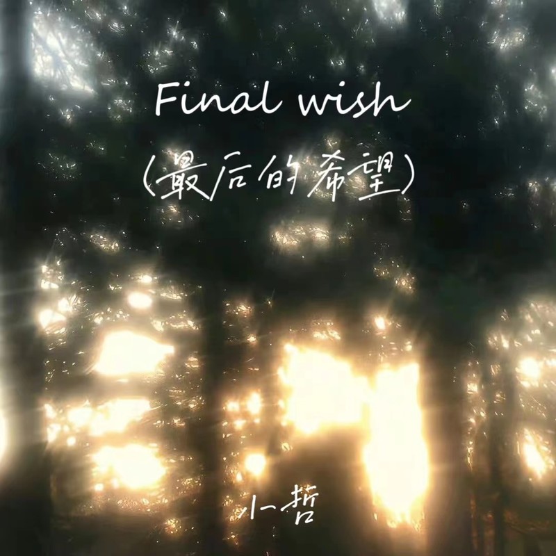 Finalwish封面